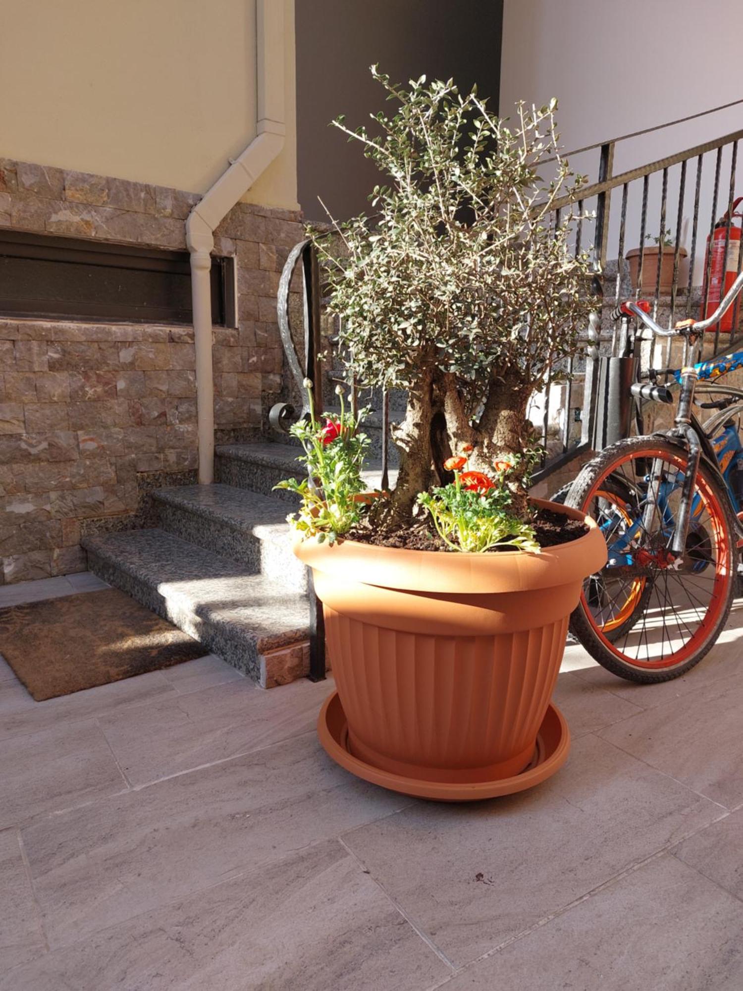 Vila Tafa Apartments Tiran Oda fotoğraf
